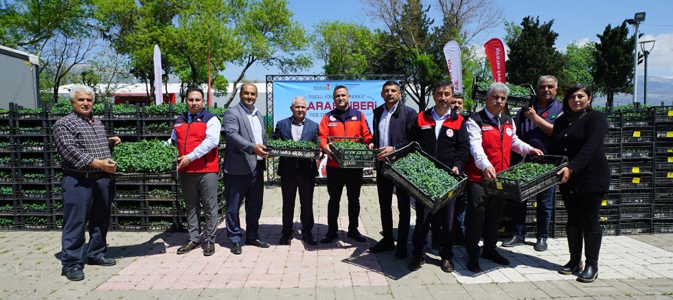 BÜYÜKŞEHİR’DEN ÜRETİCİYE 650 BİN HİBE BİBER FİDESİ
