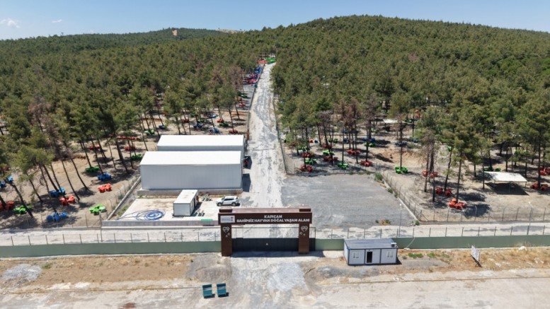 BÜYÜKŞEHİR VE SAHİPSİZ HAYVANLARI KORUMA BİRLİĞİ’NDEN 5 BİNİN ÜZERİNDE CAN DOSTUNA GÜVENLİ YAŞAM ALANI