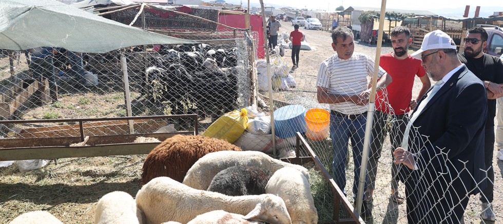 DULKADİROĞLU’NDA KURBAN BAYRAMI HAZIRLIKLARI