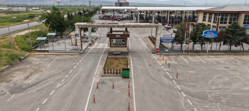 KAHRAMANMARAŞ CANLI HAYVAN BORSASI KURBAN BAYRAMI’NA HAZIR; KURBANLIK SATIŞLARI BAŞLIYOR