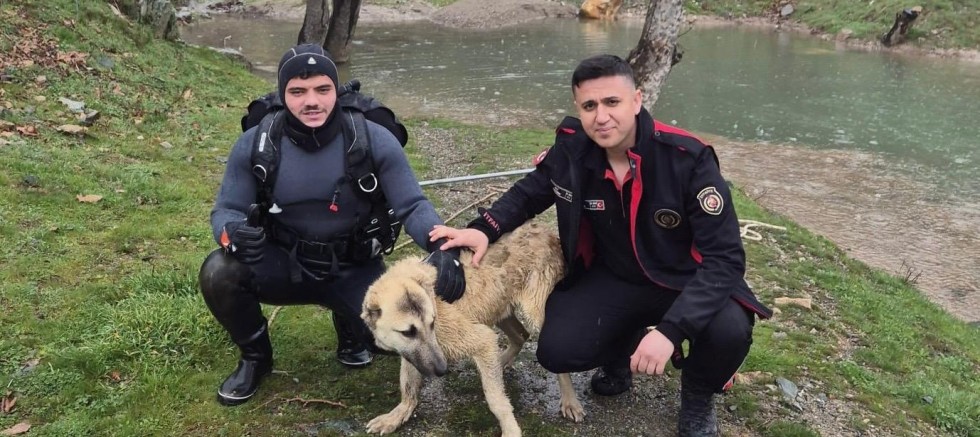 KAHRAMANMARAŞ’TA MAHSUR KALAN KÖPEK KURTARILDI