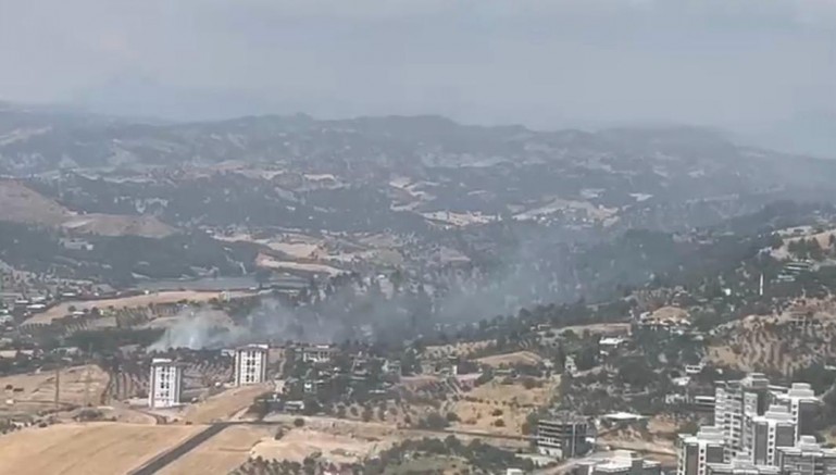 KAHRAMANMARAŞ’TA ORMAN YANGINI