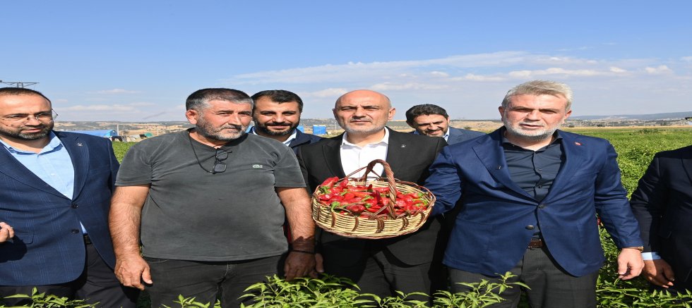 BAŞKAN GÖRGEL; “DÜNYA’NIN EN GÜZEL BİBERİ, MARAŞ BİBERİ HASADIMIZ HAYIRLI VE BEREKETLİ OLSUN”