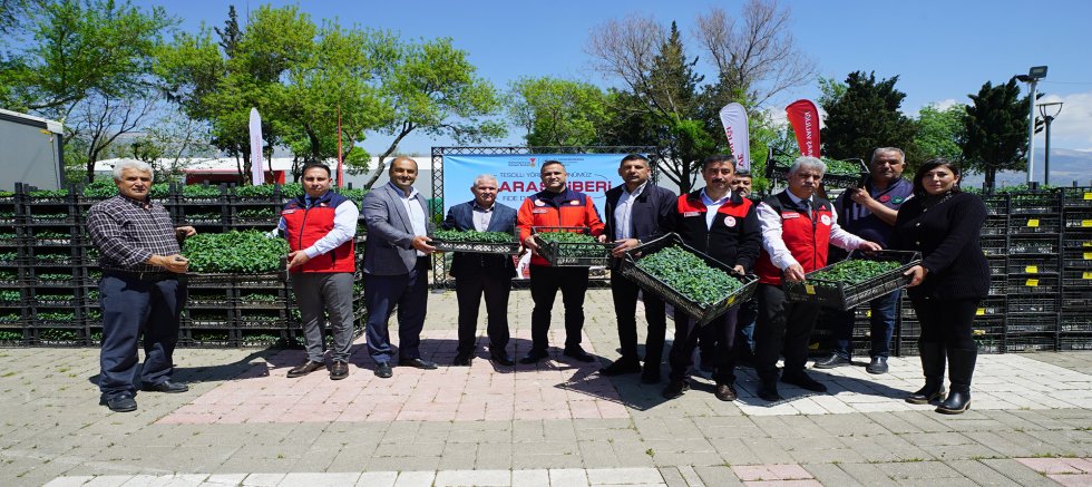 BÜYÜKŞEHİR’DEN ÜRETİCİYE 650 BİN HİBE BİBER FİDESİ