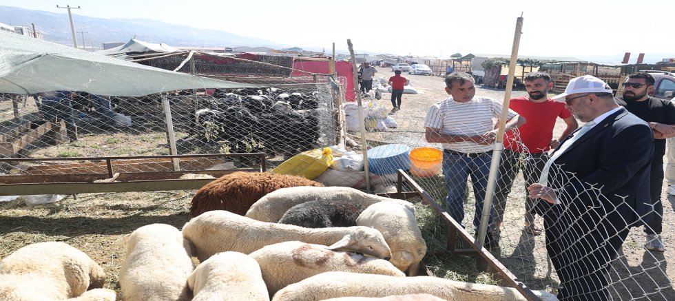 DULKADİROĞLU’NDA KURBAN BAYRAMI HAZIRLIKLARI