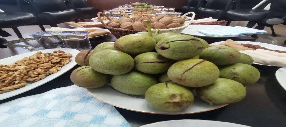 KAHRAMANMARAŞ CEVİZİNDE HASRET SONA ERDİ