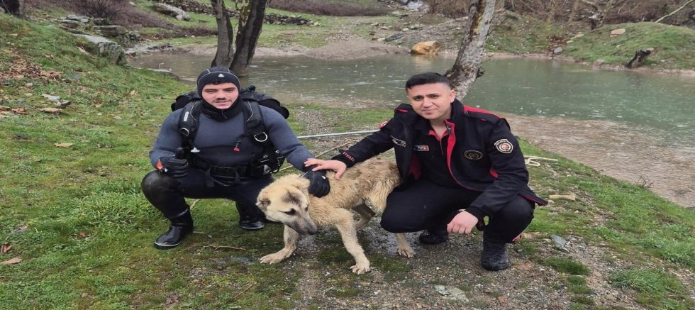 KAHRAMANMARAŞ’TA MAHSUR KALAN KÖPEK KURTARILDI