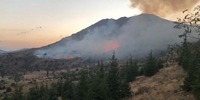 AFŞİN’DE BÜYÜK ORMAN YANGINI