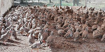 BAŞKAN ATEŞ’DEN ÇANAKKALE ZAFERİ MESAJI