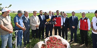 Maraş Biberi hasadına katılan Büyükşehir Belediye Başkanı Fırat Görgel