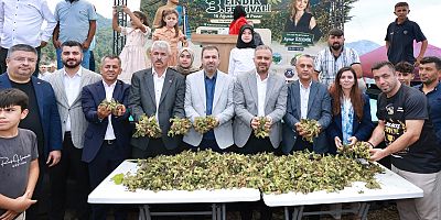 BAŞKAN TOPTAŞ, KAHRAMANMARAŞ’IN KARADENİZ’İ KALEKAYA’DA FINDIK FESTİVALİ’NE KATILDI
