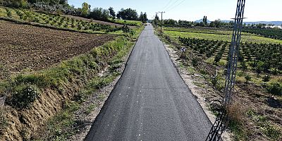 Büyükşehir Belediyesi