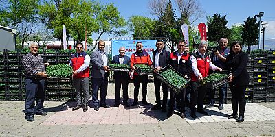BÜYÜKŞEHİR’DEN ÜRETİCİYE 650 BİN HİBE BİBER FİDESİ