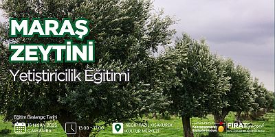 Büyükşehir Belediyesi