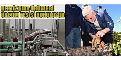 Büyükşehir Belediyesi