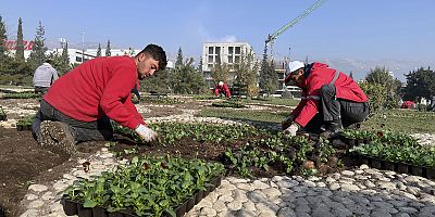 BÜYÜKŞEHİR KAVŞAKLARI 500 BİN ÇİÇEKLE RENKLENDİRİYOR