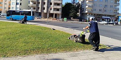 Büyükşehir Belediyesi; kent estetiğini sağlamak