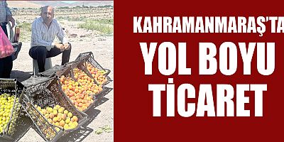 ÇİFTÇİLER BAYRAMDA EKMEĞİNİ YOLDAN ÇIKARTIYOR