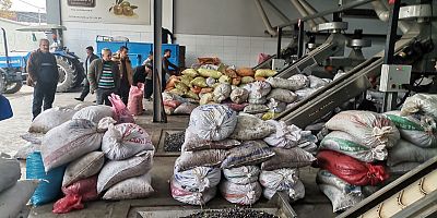 Depremin merkez üssü Kahramanmaraş’ta zeytinyağı fabrikaları ayağa kaldırılarak üretime başlandı.