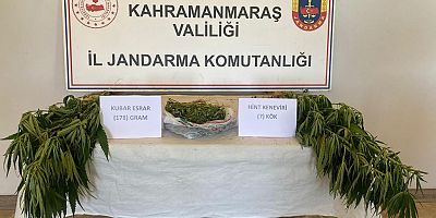 EVİNDE KENEVİR YETİŞTİRDİ YAKALANDI