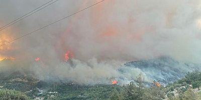 HATAY VE OSMANİYE’DE ORMAN YANGINI