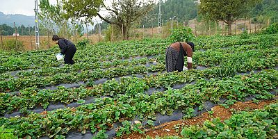 KADINLARIN EMEĞİ “KAHRAMAN KADIN” PLATFORMU İLE DAHA GENİŞ KİTLELERE ULAŞIYOR