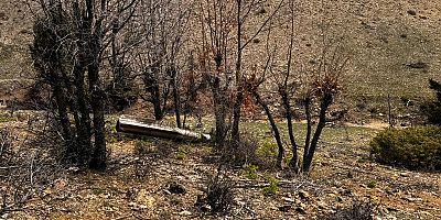 KAHRAMANMARAŞ’TA ALARM DAĞLIK ALANDA FÜZE BULUNDU