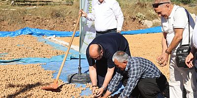 KAHRAMANMARAŞ’TA COĞRAFİ TESCİLLİ CEVİZ İHRACATI BAŞLADI
