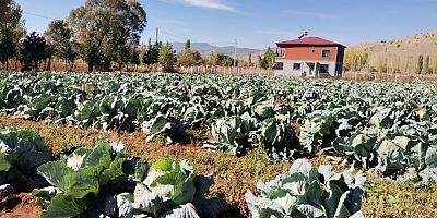 KAHRAMANMARAŞ’TA DEV LAHANALAR YOLA ÇIKTI