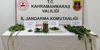 -KAHRAMANMARAŞ’TA EVİNİN BAHÇESİNDE KENEVİR YETİŞTİRDİ YAKALANDI