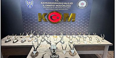 KAHRAMANMARAŞ’TA KARACA VE GEYİK TROFESİ KAÇAKÇILIĞI OPERASYONU