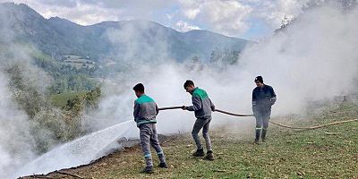 KAHRAMANMARAŞ'TA ORMAN YANGINI KONTROL ALTINA ALINDI