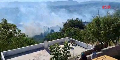 KAHRAMANMARAŞ'TA ORMAN YANGINI