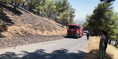 KAHRAMANMARAŞ'TA ORMAN YANGINI