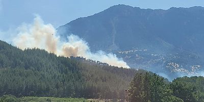 Kahramanmaraş’ta çıkan orman yangınına ekipler havadan ve karadan müdahale ediyor.