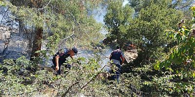 KAHRAMANMARAŞ’TA PİKNİK YAPMAK İSTEDİLER ORMANI YAKTILAR