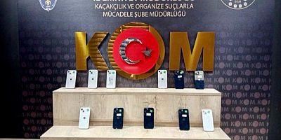 KAHRAMANMARAŞ’TA TAM 650 BİN ADET ELE GEÇİRİLDİ