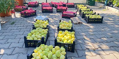 Kahramanmaraş’ta verimsiz ve atıl araziler