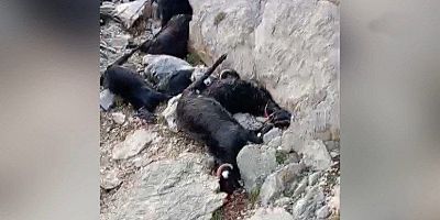 - Kahramanmaraş’ın Onikişubat ilçesinde