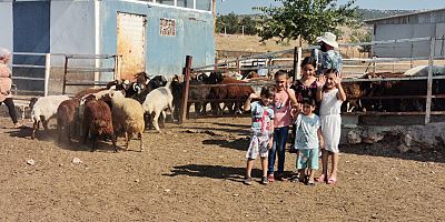 PAZARCIK’TA BÖLGENİN EN BÜYÜK HAYVAN ÇİFTLİĞİNİ KURDU
