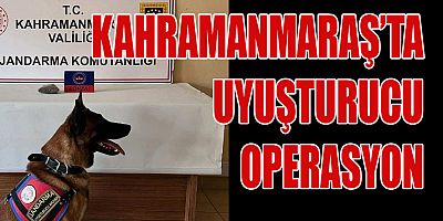 PAZARCIK’TA UYUŞTURUCU OPERASYONU: 3 GÖZALTI
