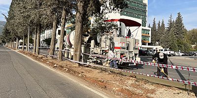 Büyükşehir Belediyesi