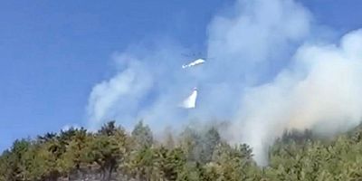 Kahramanmaraş’ta Türkoğlu ilçesinde çıkan orman yangını kontrol altına alınmaya çalışılıyor.