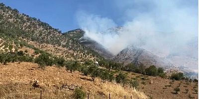 TÜRKOĞLU’NDA ORMAN YANGINI