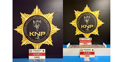  UYUŞTURUCU MADDE VE 1000’İN ÜZERİNDE HAP ELE GEÇİRİLDİ