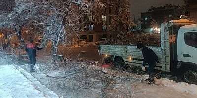 YOĞUN KAR YAĞIŞIYLA KIRILAN AĞAÇ DALLARINA HIZLI MÜDAHAL